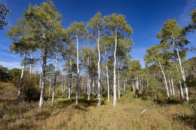 50560 Smith Creek Park Rd, Steamboat Springs, CO 80487