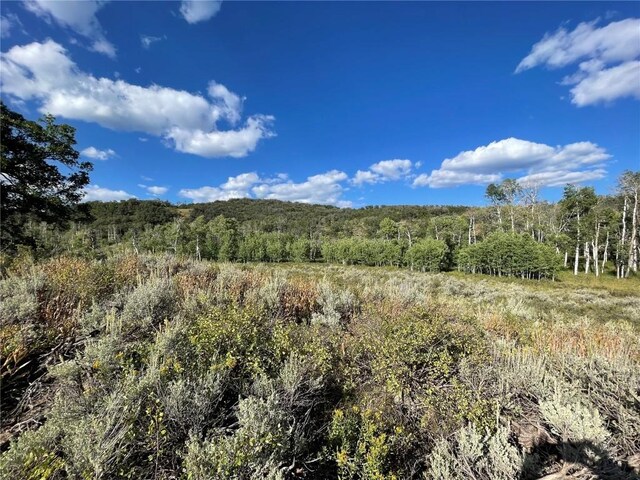 50560 Smith Creek Park Rd, Steamboat Springs, CO 80487