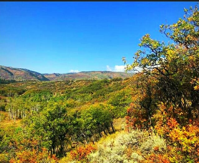50560 Smith Creek Park Rd, Steamboat Springs, CO 80487