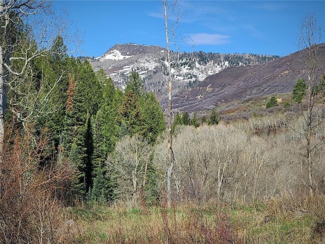 50560 Smith Creek Park Rd, Steamboat Springs, CO 80487