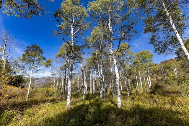 50560 Smith Creek Park Rd, Steamboat Springs, CO 80487