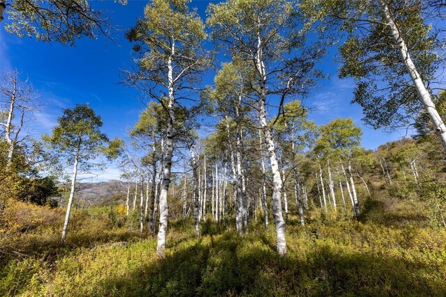 50560 Smith Creek Park Rd, Steamboat Springs, CO 80487