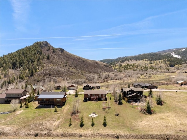 view of mountain feature