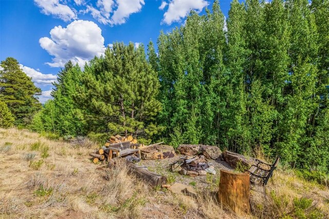 70 County Road 26, Twin Lakes, CO 81251 - view of local wilderness