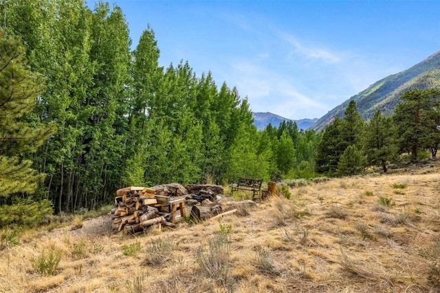 70 County Road 26, Twin Lakes, CO 81251 - property view of mountains featuring a wooded view