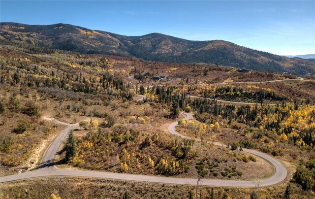 34100 Wildridge Ln, Steamboat Springs, CO 80487