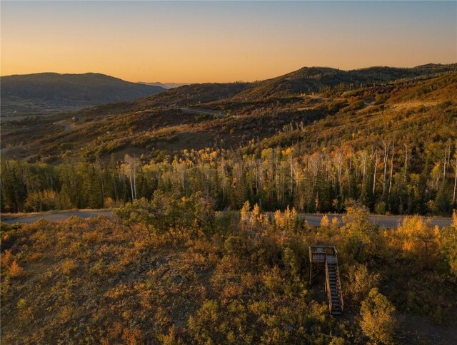 34100 Wildridge Ln, Steamboat Springs, CO 80487