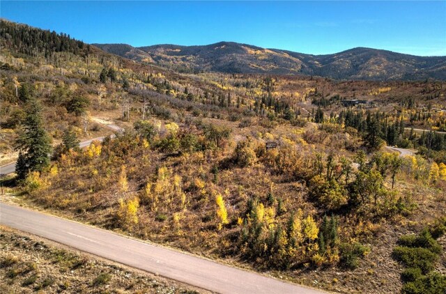 34100 Wildridge Ln, Steamboat Springs, CO 80487