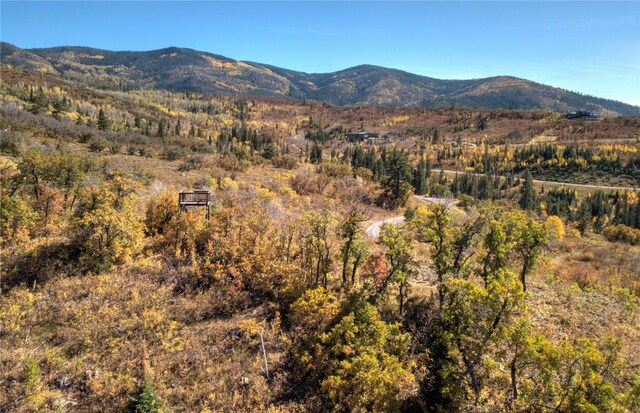 34100 Wildridge Ln, Steamboat Springs, CO 80487