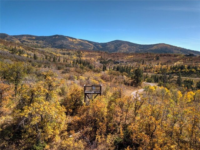 34100 Wildridge Ln, Steamboat Springs, CO 80487