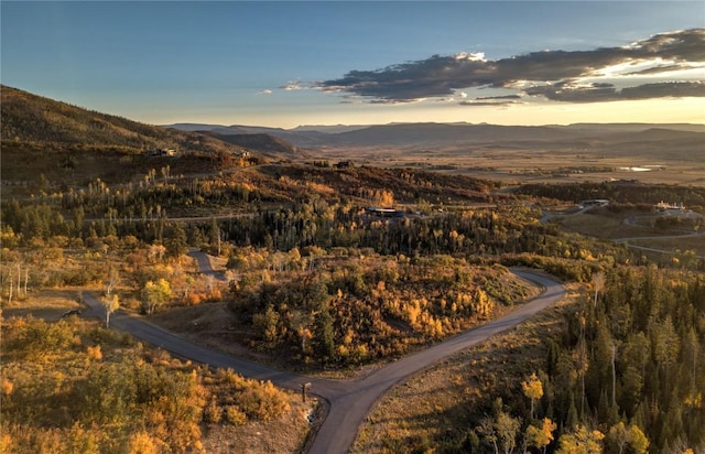 34100 Wildridge Ln, Steamboat Springs, CO 80487