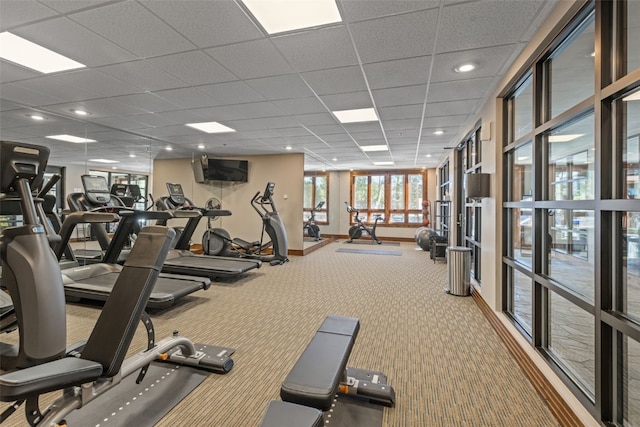 exercise room with carpet and a paneled ceiling