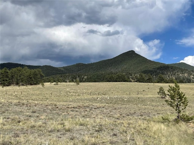 11993 Clear Creek Rd, Hartsel, CO 80449