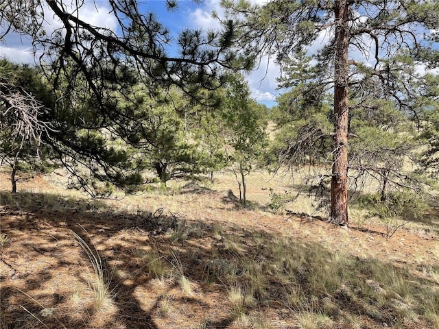 11993 Clear Creek Rd, Hartsel, CO 80449