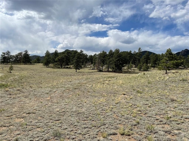 11993 Clear Creek Rd, Hartsel, CO 80449