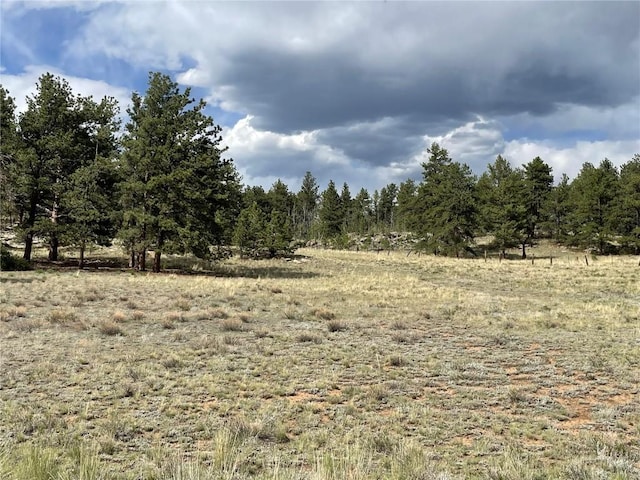 11993 Clear Creek Rd, Hartsel, CO 80449