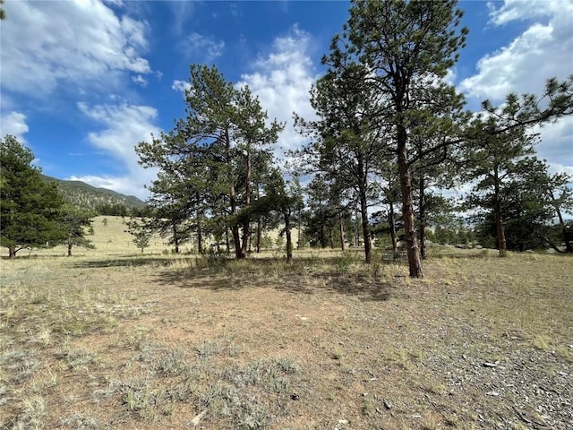 11993 Clear Creek Rd, Hartsel, CO 80449