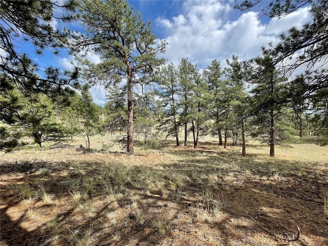 11993 Clear Creek Rd, Hartsel, CO 80449