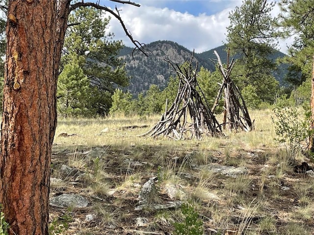 11993 Clear Creek Rd, Hartsel, CO 80449
