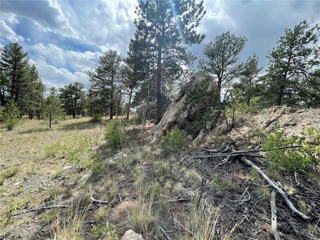 11993 Clear Creek Rd, Hartsel, CO 80449