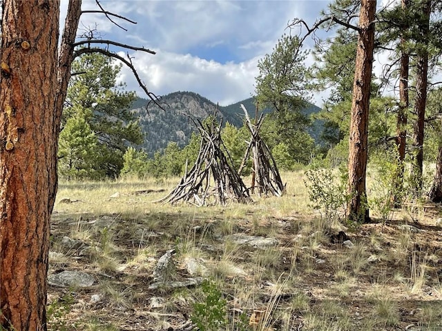 11993 Clear Creek Rd, Hartsel, CO 80449