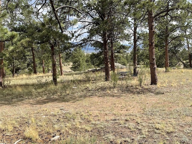 11993 Clear Creek Rd, Hartsel, CO 80449
