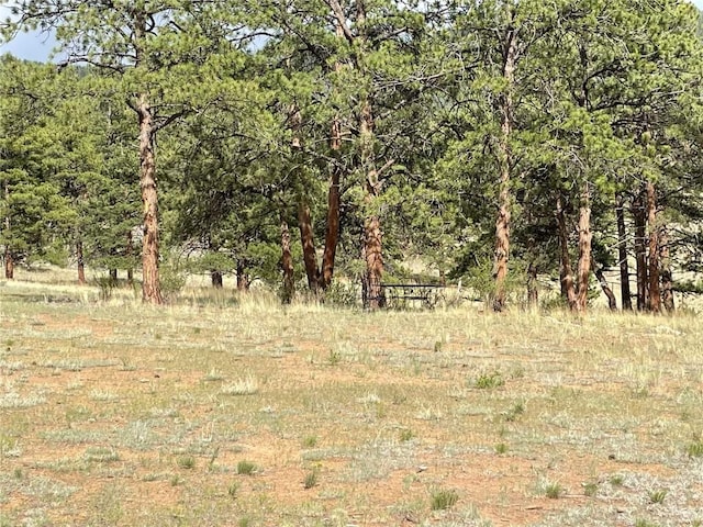 11993 Clear Creek Rd, Hartsel, CO 80449