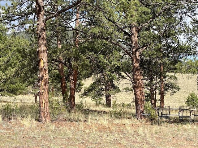 11993 Clear Creek Rd, Hartsel, CO 80449