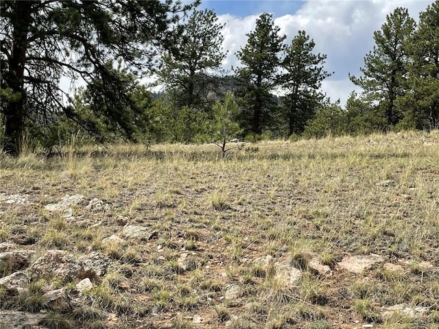 11993 Clear Creek Rd, Hartsel, CO 80449
