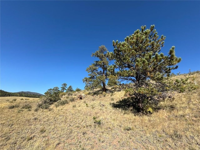 123 Campfire Rd, Hartsel, CO 80449 - photo 26