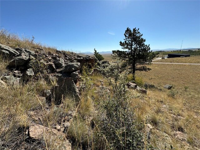 123 Campfire Rd, Hartsel, CO 80449 - photo 27