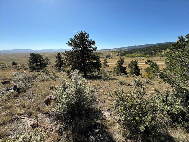 123 Campfire Rd, Hartsel, CO 80449 - photo 22