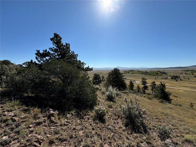 123 Campfire Rd, Hartsel, CO 80449 - photo 19