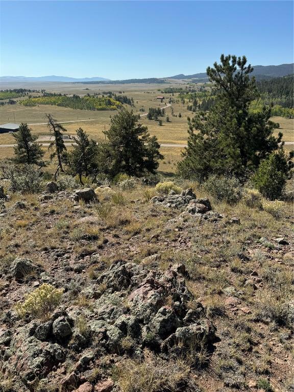123 Campfire Rd, Hartsel, CO 80449 - photo 17