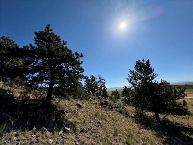 123 Campfire Rd, Hartsel, CO 80449 - photo 2