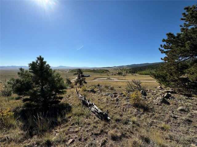 123 Campfire Rd, Hartsel, CO 80449 - photo 9