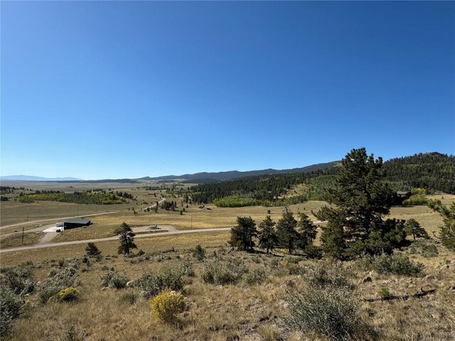 123 Campfire Rd, Hartsel, CO 80449 - photo 16