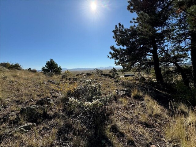 123 Campfire Rd, Hartsel, CO 80449 - photo 8