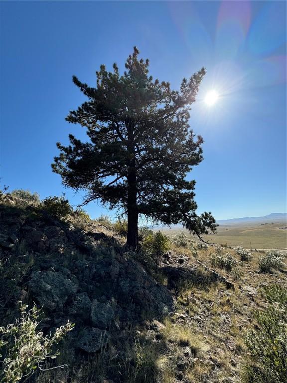123 Campfire Rd, Hartsel, CO 80449 - photo 10