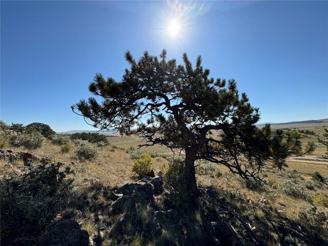 123 Campfire Rd, Hartsel, CO 80449 - photo 14