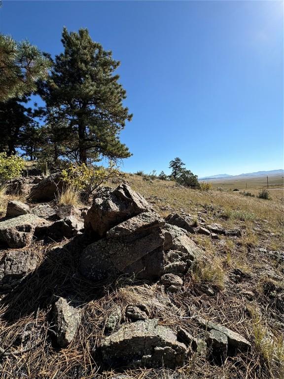 123 Campfire Rd, Hartsel, CO 80449 - photo 25