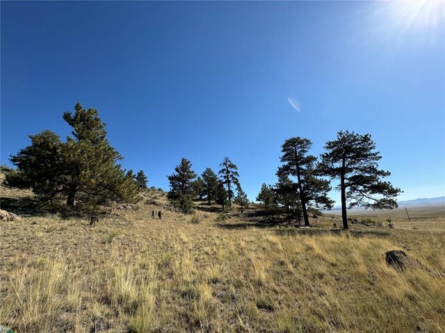 123 Campfire Rd, Hartsel, CO 80449 - photo 24