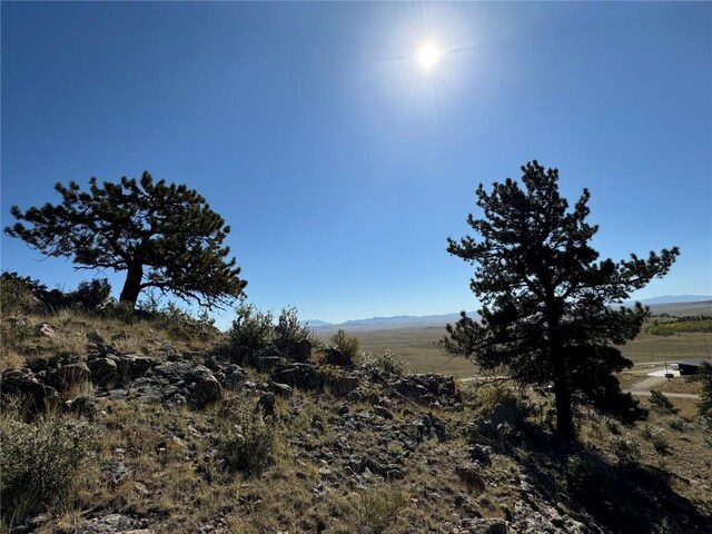123 Campfire Rd, Hartsel, CO 80449 - photo 11