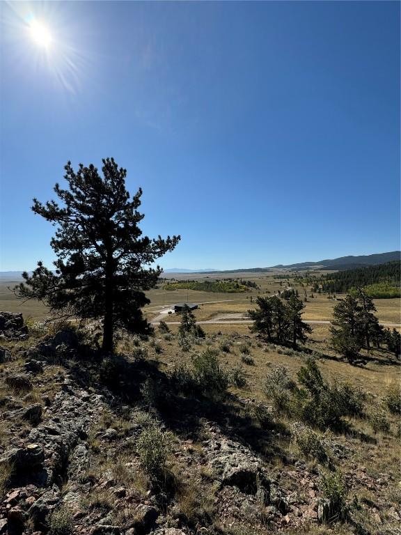 123 Campfire Rd, Hartsel, CO 80449 - photo 12