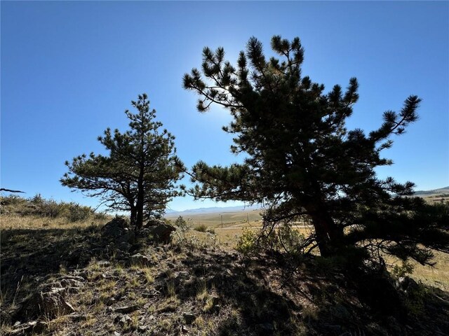123 Campfire Rd, Hartsel, CO 80449 - photo 7