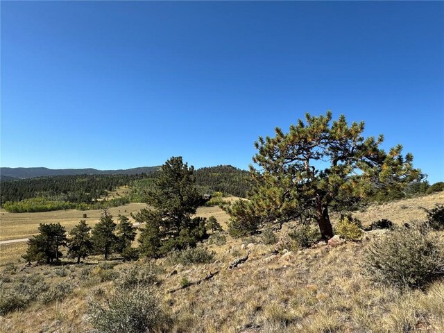 123 Campfire Rd, Hartsel, CO 80449 - photo 15
