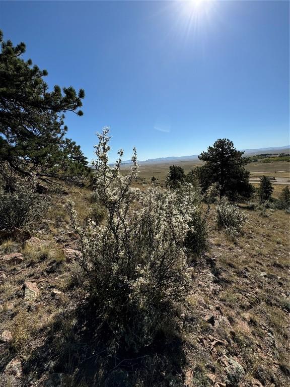 123 Campfire Rd, Hartsel, CO 80449 - photo 20