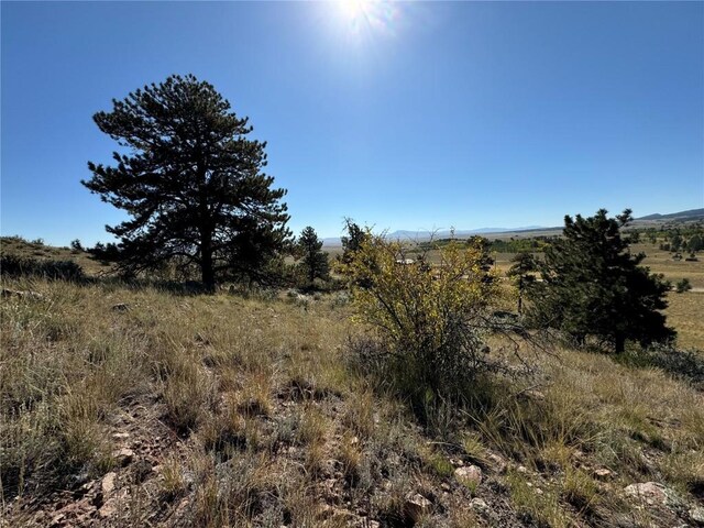 123 Campfire Rd, Hartsel, CO 80449 - photo 23