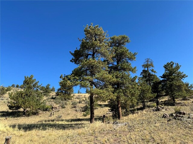 123 Campfire Rd, Hartsel, CO 80449 - photo 6