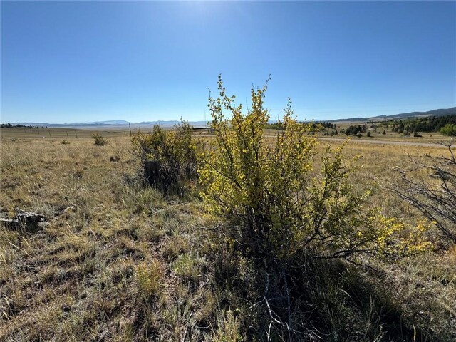 123 Campfire Rd, Hartsel, CO 80449 - photo 5